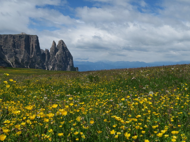 Schlern vom Ladinser Moos aus (21. Juni)