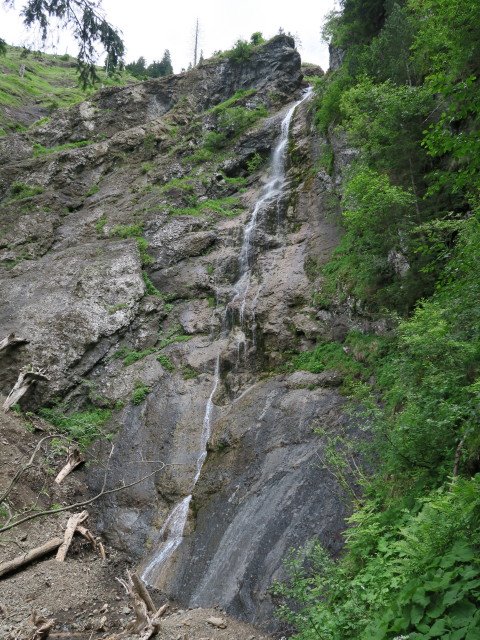 neben dem Proßlinger Steig (21. Juni)