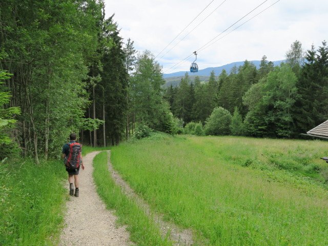 Weg 1 zwischen Geologensteig und Seis (21. Juni)