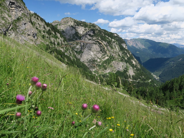 zwischen Frischenkofel und Plöckenpass