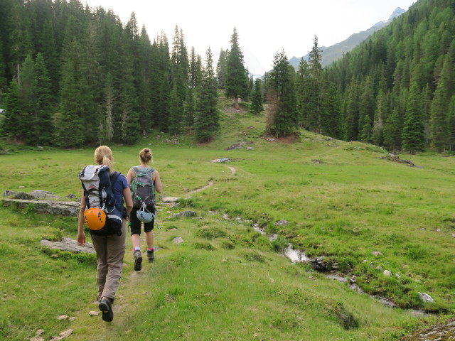 Evelyn und Miriam am Naturlehrpfad zwischen Seichenbrunn und Gaimberger Alm (3. Juli)