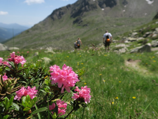 Evelyn, Miriam und Erich auf Weg 912A zwischen Weg 941 und Franz-Keil-Weg (4. Juli)
