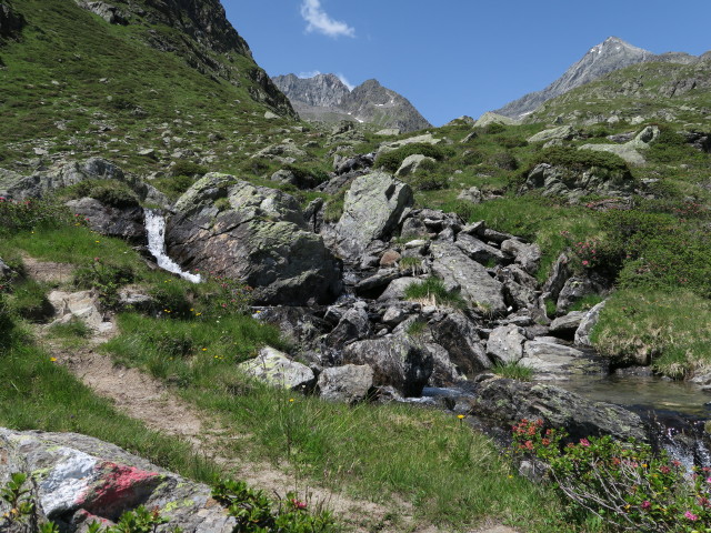 Weg 912A zwischen Weg 941 und Franz-Keil-Weg (4. Juli)