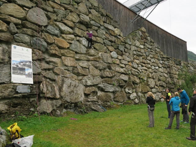 Lawinenschutzmauer 'Winkl' (13. Juli)