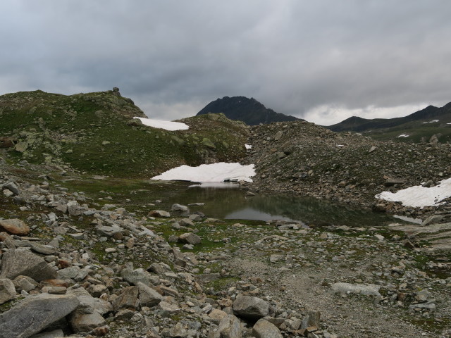 Grüne Kuppe (14. Juli)