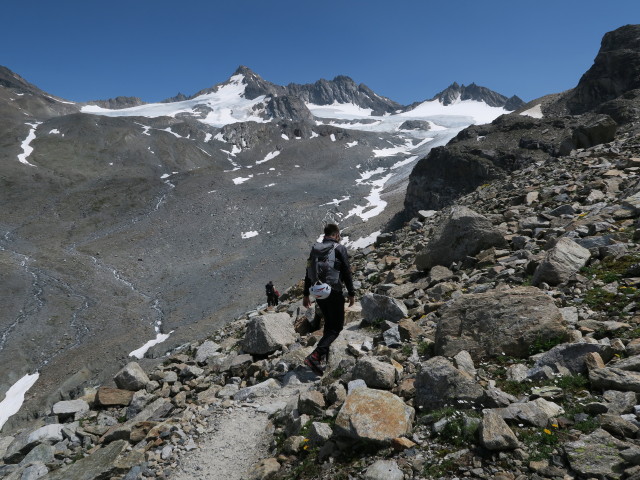 Gabriel zwischen Grüner Kuppe und Wiesbadener Hütte (14. Juli)