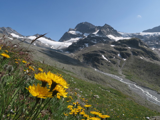 Piz Buin vom Ochsental aus (14. Juli)