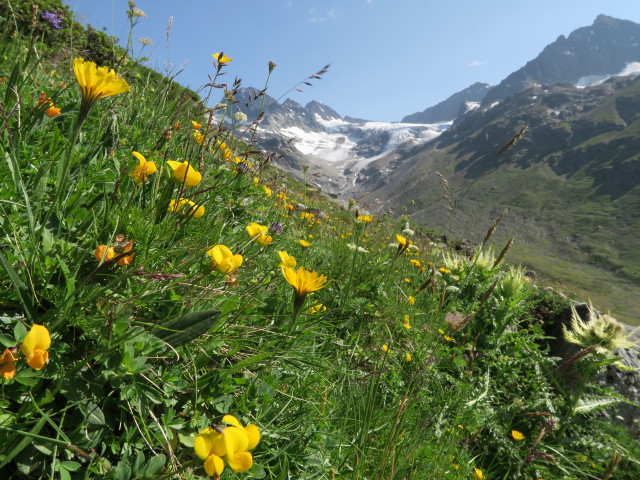 Ochsental (14. Juli)