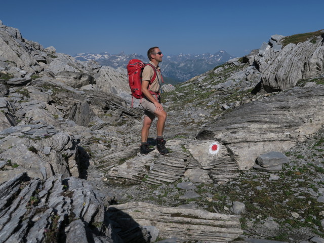 Tiroler Höhenweg zwischen Mäuerlscharte und Wolfendorn (18. Juli)