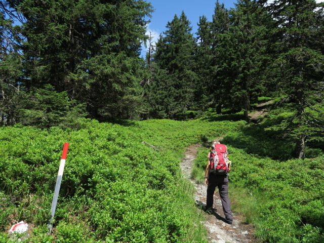 Mama auf Weg 651 zwischen Hirschlacke und Dürrenschöberl