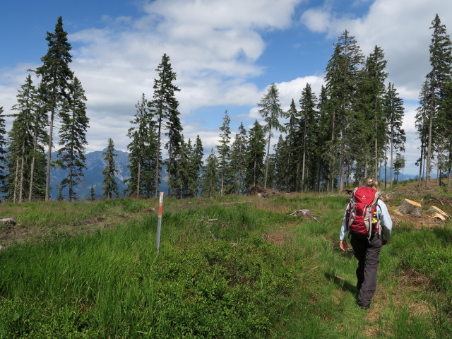 Mama zwischen Spießkogel und Hubereck
