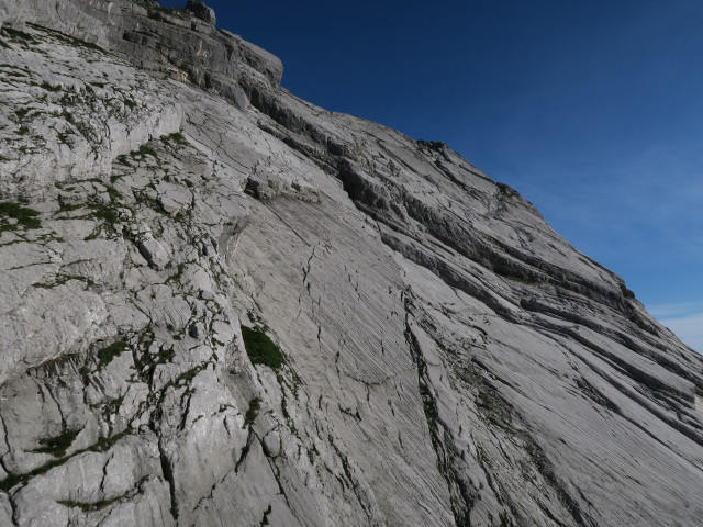 'Ulli, da Tanzbodn is insa!' (1. Aug.)