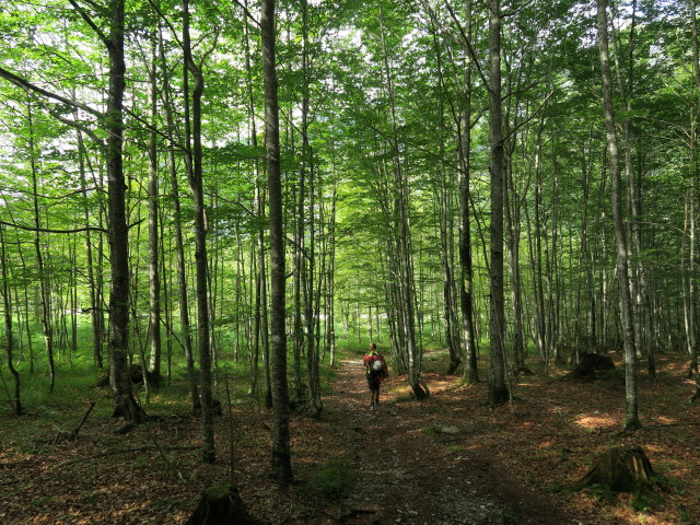 Maria auf Weg 213 In der Röll (1. Aug.)