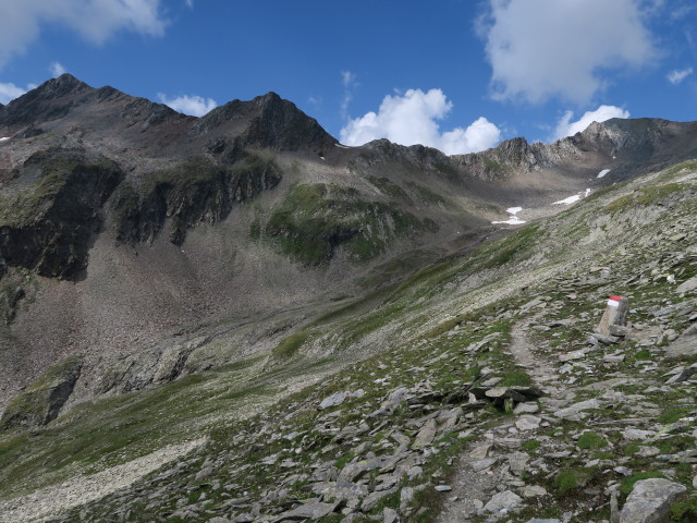 Wiener Höhenweg zwischen Kesselkeesattel und Tramerbach (7. Aug.)