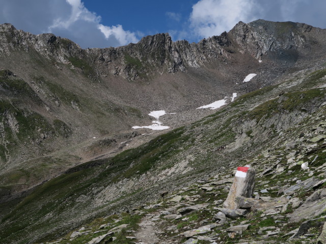 Wiener Höhenweg zwischen Kesselkeesattel und Tramerbach (7. Aug.)