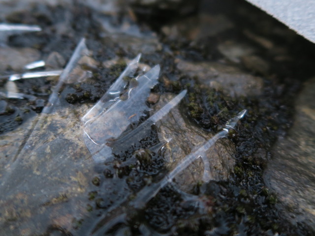 Noßberger-Weg zwischen Adolf-Noßberger-Hütte und Eissee (9. Aug.)