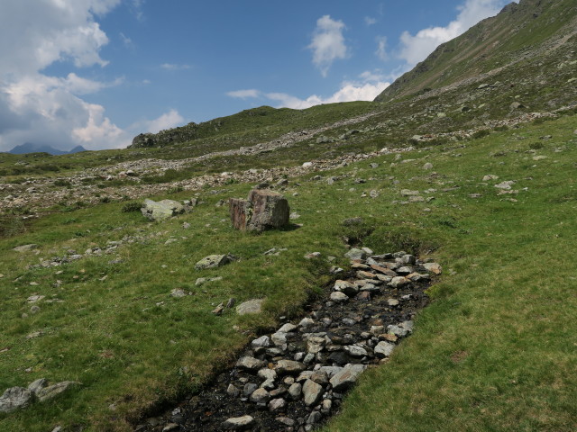 Gaimberger Feld (9. Aug.)