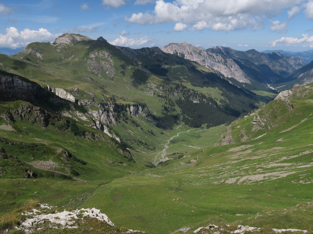 Güfelalpe (22. Aug.)