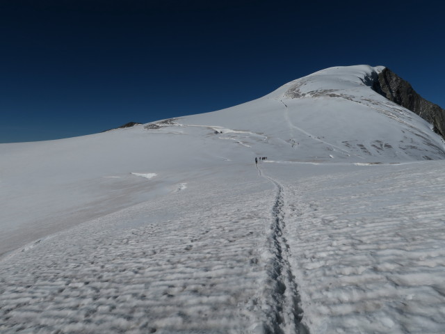 Venedigerscharte, 3.405 m (29. Aug.)