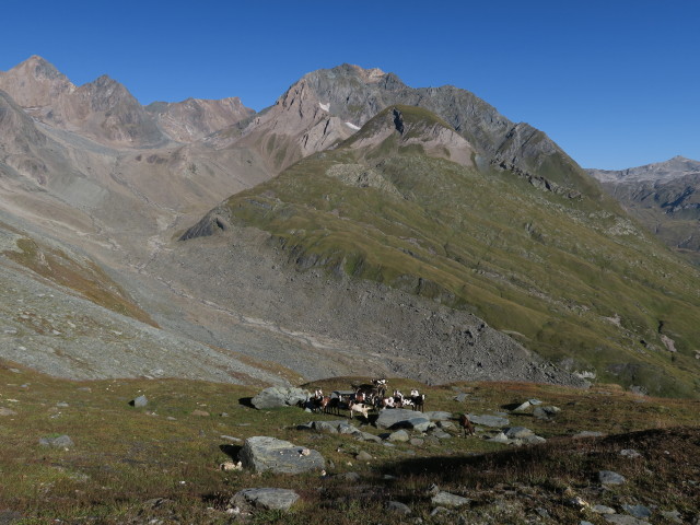 neben dem Venediger Höhenweg zwischen Malfrostnitz und Galtenscharte (31. Aug.)