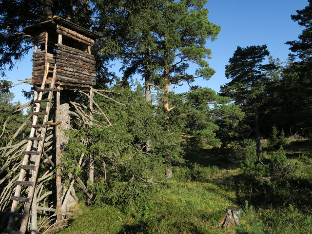 neben Weg 612 zwischen Bräualm und 'Zeitgeist' (12. Sep.)