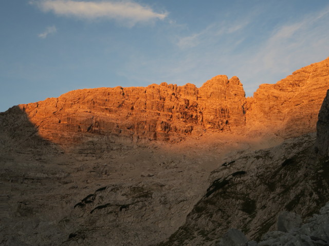 Nackter Hund von der Großen Wehrgrube aus (13. Sep.)