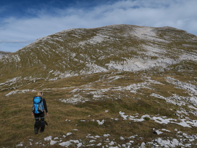 Sabrina zwischen Löckenkogel und Kleinem Tragl (3. Okt.)