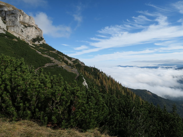 vom Fuchslochsteig Richtung Südosten