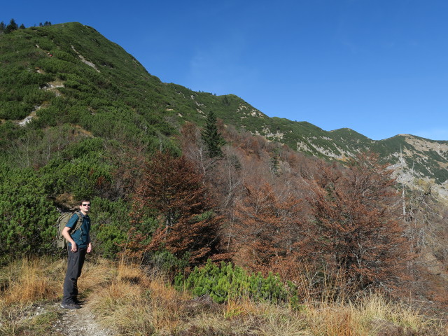 Ronald am Walkerskogel, 1.243 m