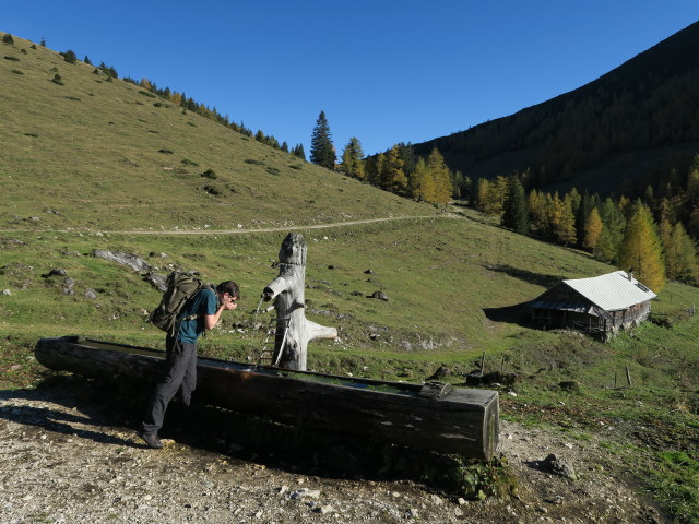 Ronald auf der Leonsbergalm, 1.371 m