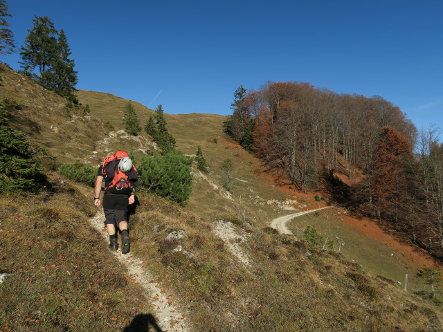 Erich zwischen Unterer Scheibenbichlalm und Schneebichl (31. Okt.)