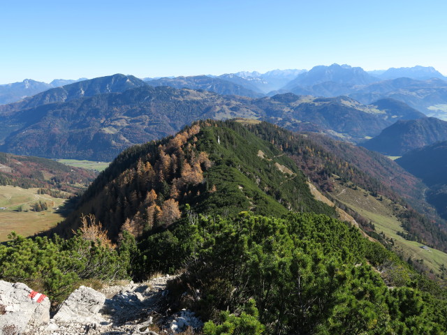 Weg 825 zwischen Wasserlahnerkopf und Feldberg (31. Okt.)