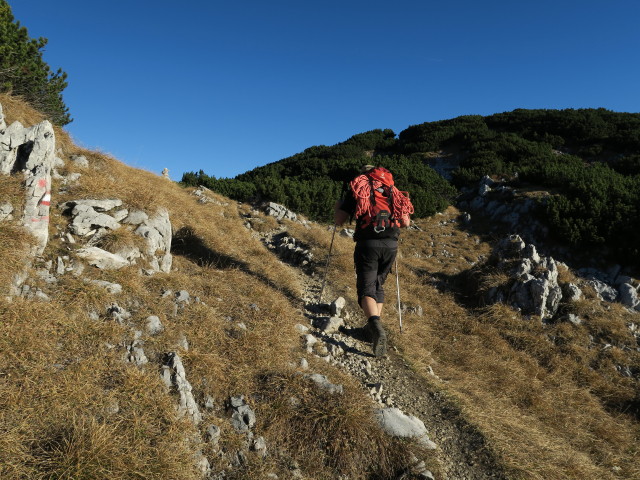 Erich auf Weg 836 zwischen Vogelbad und Elferkogel (1. Nov.)