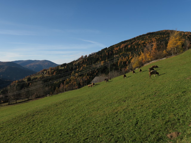 zwischen Unterburgstallberg und Oberburgstallberg