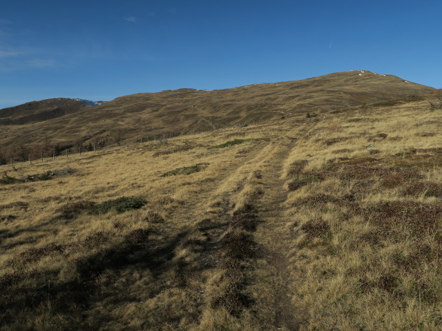 Weg 46 am Burgstallberg