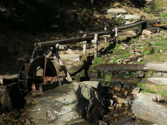 neben Weg 17 'Woody Walk' zwischen Propinwiesen und Weg 17A