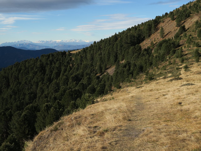 Weg 17A zwischen Rossalm und Weg 4