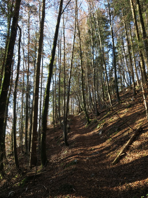 zwischen Niederbreitenbach und Bärenbadhaus