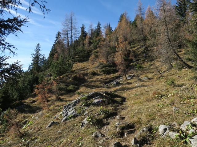 Adlerweg zwischen Höhlensteinhaus und Köglhörndl