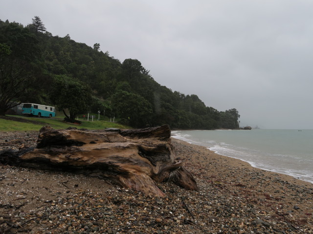 Waiomu Beach (16. Nov.)