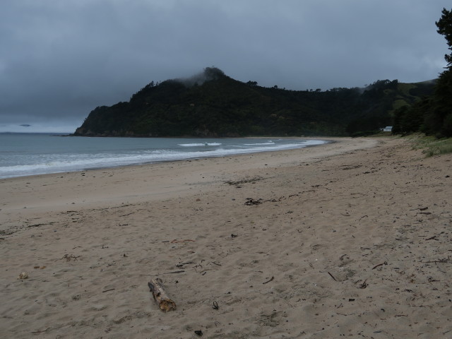 Kuaotunu Beach (16. Nov.)