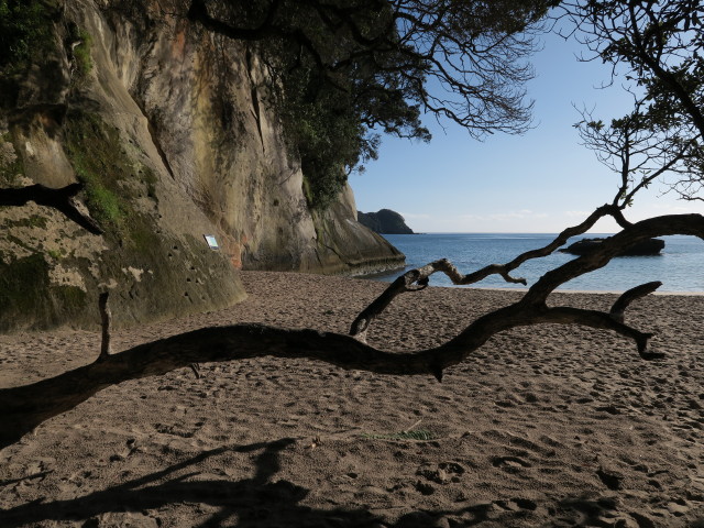 Mares Leg Cove (17. Nov.)