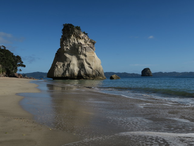 Cathedral Cove (17. Nov.)