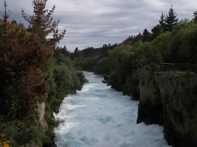Huka Falls (19. Nov.)