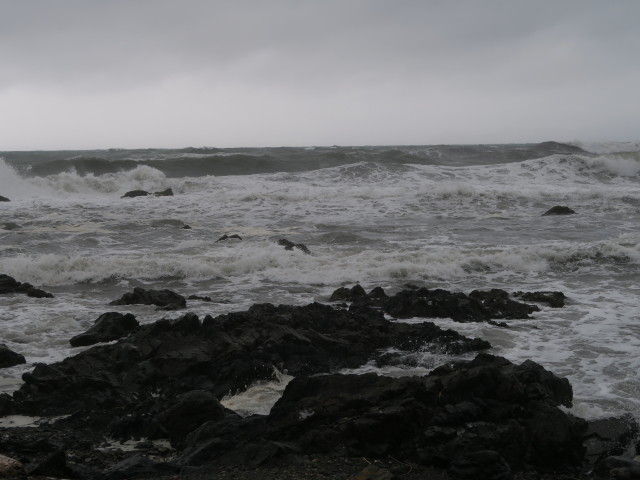Tasmanische See zwischen Pukerua Bay und Paekakariki (20. Nov.)
