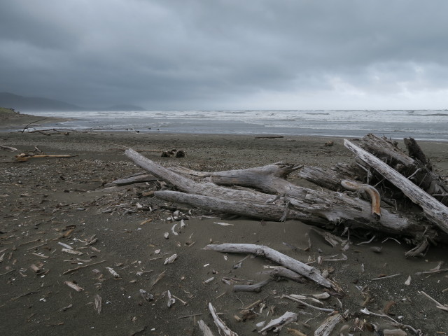 Queen Elizabeth Park (20. Nov.)