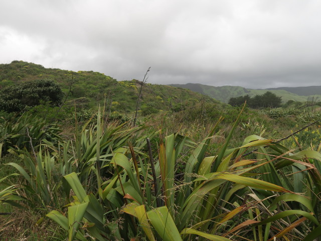 Queen Elizabeth Park (20. Nov.)