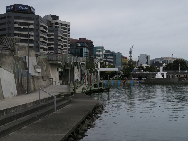 City to Sea Bridge in Wellington (21. Nov.)