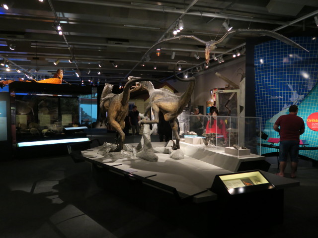 Te Papa Tongarewa in Wellington (21. Nov.)