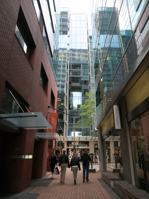 Papa, Mama und Markus in der Chews Lane in Wellington (21. Nov.)